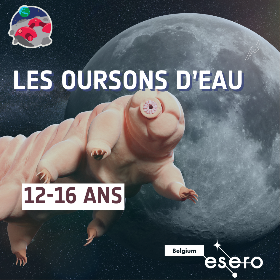 Ressource_oursons deau_ESERO_BE
