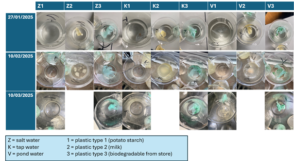 bioplasitc en afbreken