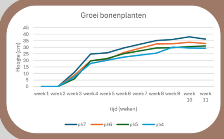 effect van ph op bonen