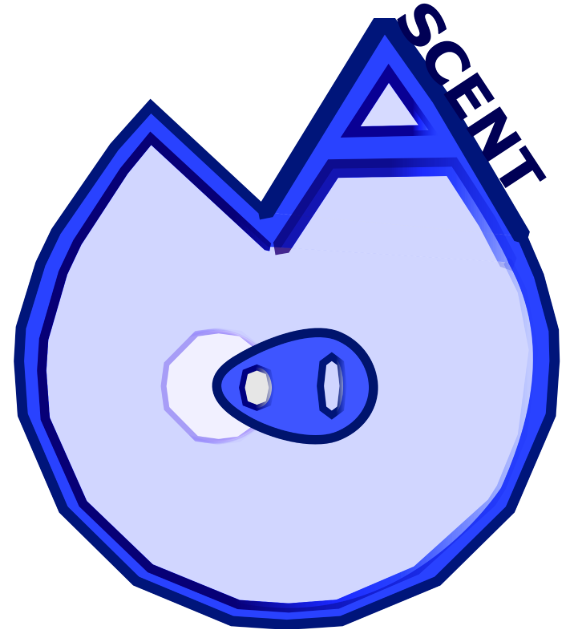 team Ascent Cansat ESERO Belgium